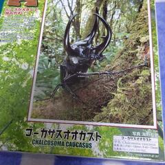 カブトムシ パズル