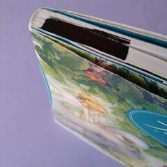 ディズニーフェアリーズ　プリラの夢の種の画像