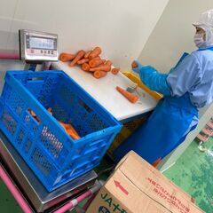 ＜年末までの短期＞初心者でもできるラクラク簡単作業◎高校生OK！ 希望日だけの勤務も大歓迎！！短期で稼げるアルバイト♪の画像