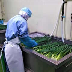 ＜年末年始の短期＞初心者でもできるラクラク簡単作業◎高校生OK！...