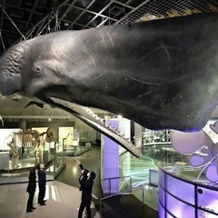 博物館、美術館、史跡巡り − 東京都