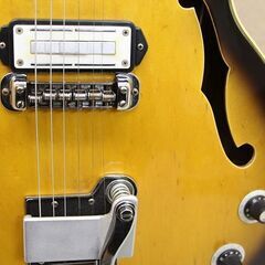 テスコ TEISCO ベガス40 Vegas40 セミアコ 1960年代製 国産ビザールギター (P1257aktxY)の画像
