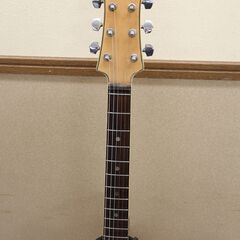 テスコ TEISCO ベガス40 Vegas40 セミアコ 1960年代製 国産ビザールギター (P1257aktxY)の画像
