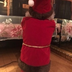 サンタクロースの画像