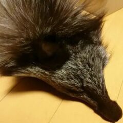 シルバーフォックス マフラーの画像