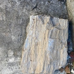 飛び石　庭石