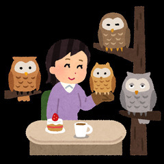 アニマルカフェ　サンプリングスタッフの画像