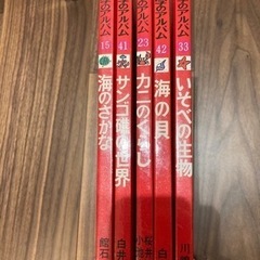 科学のアルバム　海セットの画像