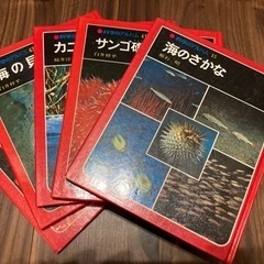 科学のアルバム　海セット
