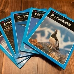 科学のアルバム　鳥セット