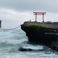 サーフィン仲間募集中🤲