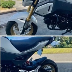 グロム  JC75後期　ホワイト　自賠責長いの画像