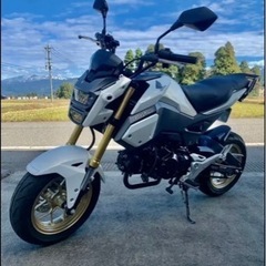 グロム  JC75後期　ホワイト　自賠責長い