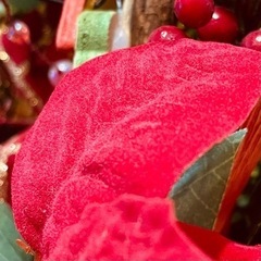 収納箱付★クリスマス★バスケット★オブジェ★ポインセチア★の画像