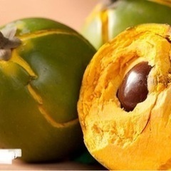 La lúcuma ルクマ