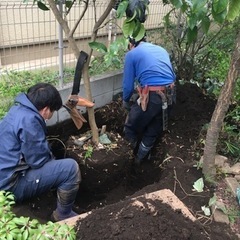 植木職人募集　090-4621-4903電話にてお問合せ下さい。待ってまーすの画像