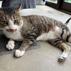 里親決まりました！幸せになれよ！！ − 山形県