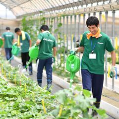 【大阪府枚方市】★残りわずかの障がい者枠★自分のペースで働ける農園スタッフの画像