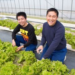 【大阪府枚方市】★残りわずかの障がい者枠★自分のペースで働ける農園スタッフの画像