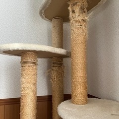 キャットタワーの画像