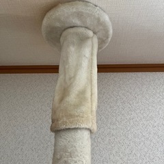 キャットタワーの画像