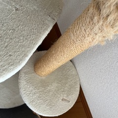 キャットタワーの画像