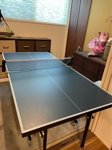 IGNIO コンパクト　卓球台　家庭用？