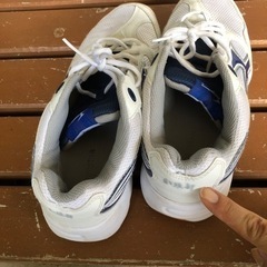 GYMSTAR スポーツシューズ上履き26.5の画像