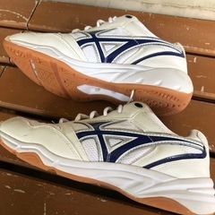 GYMSTAR スポーツシューズ上履き26.5の画像