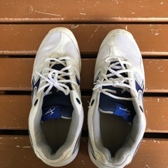 GYMSTAR スポーツシューズ上履き26.5