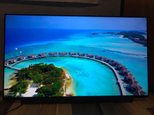 55インチテレビ　マキシゼン