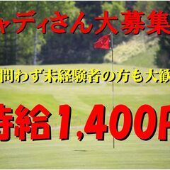 ゴルフキャディさん 急遽募集中　未経験者もOKです。