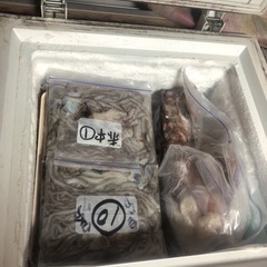 シガヤーダコ1匹200円（注）【餌用】の画像