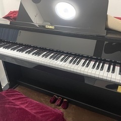 Casio GP 510 BPの画像