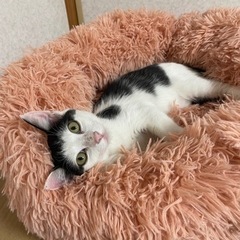無事里親さまへ繋がりました⭐️