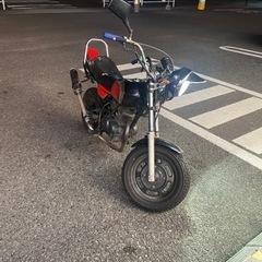 エイプ50改の画像