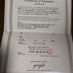 最終価格☺️新品未使用 定価23万 ゲルマニウム2点セットの画像