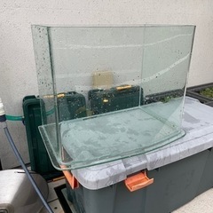 ルノアール450 水槽　シート、フタ有り　引き取りのみ