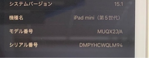 iPad mini5 wi-fi 64GB シルバー　美品！