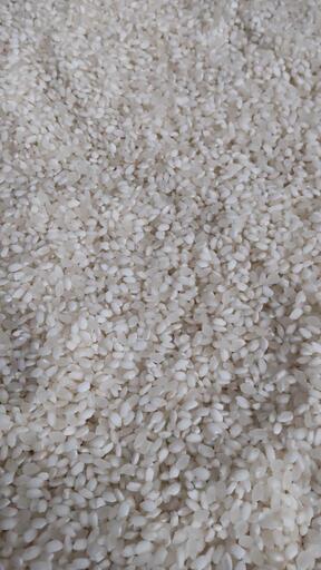 一時在庫切れです　新米コシヒカリ　30kg　訳あり品