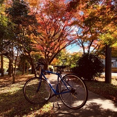 サイクリングやポタリングしませんか？