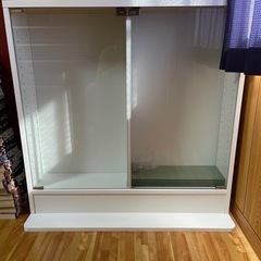 コレクションケース