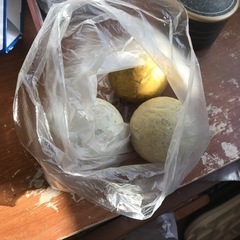 マレットゴルフの玉