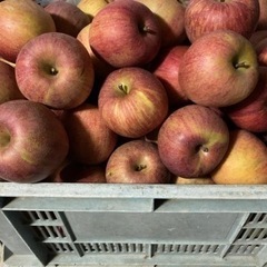 取り引き決まりました🙏B級品　自家用サンふじ10kg 伊達市近辺...