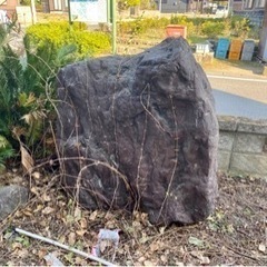 （再投稿します）庭石・大きな石・もらってください