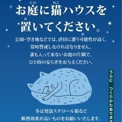 飼い主のいない猫に、温かいハウスを作ってあげましょう