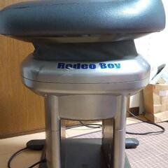 【値下げしました！12月31日まで受付】Rodeo Boy(ロデオボーイ) THRIVEの画像