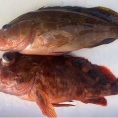 牛窓でボート釣り − 岡山県