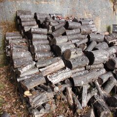 薪用丸太、無料、風呂やまきストーブにいかがですか？の画像