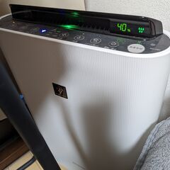 シャープ 加湿 空気清浄機 プラズマクラスター 7000 スタン...